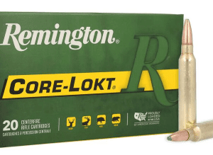 300-WM180GR-REMINGTON-CORE-LOKT-PSP